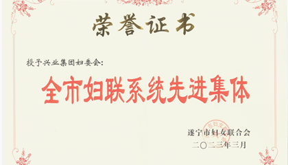 喜報！興業(yè)集團婦委會榮獲“全市婦聯(lián)系統(tǒng)先進集體”榮譽稱號